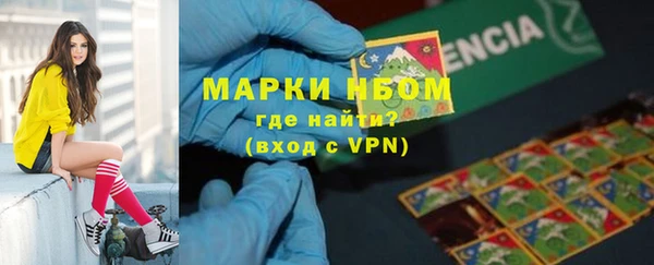 прущие грибы Покров