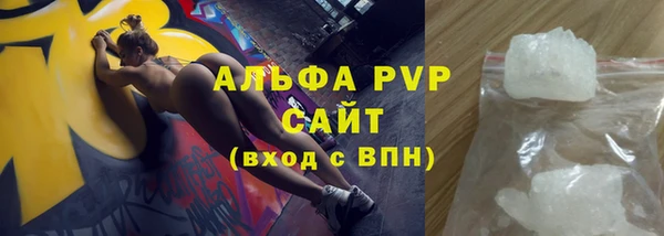 прущие грибы Покров