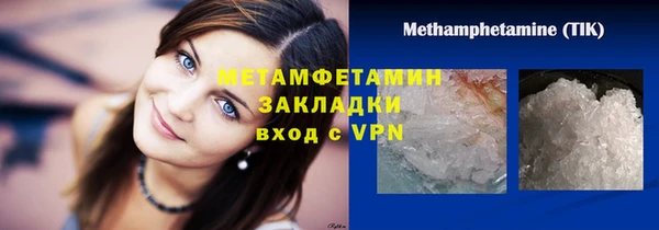прущие грибы Покров