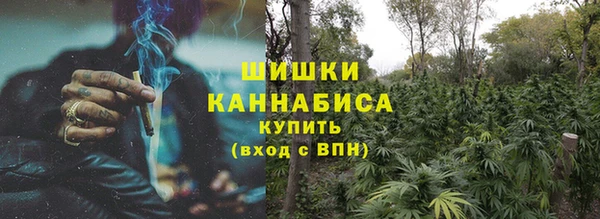 прущие грибы Покров